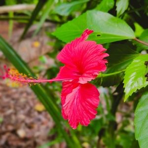 Meet your Posher, Jessy